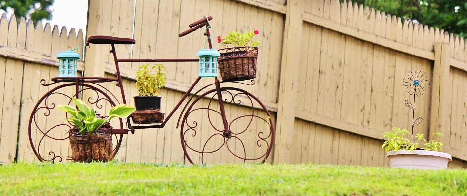 Fence lawn bike home Photo