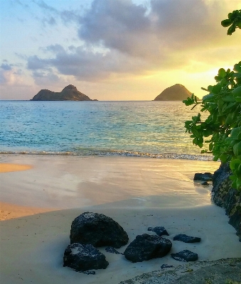 Beach sea coast nature Photo