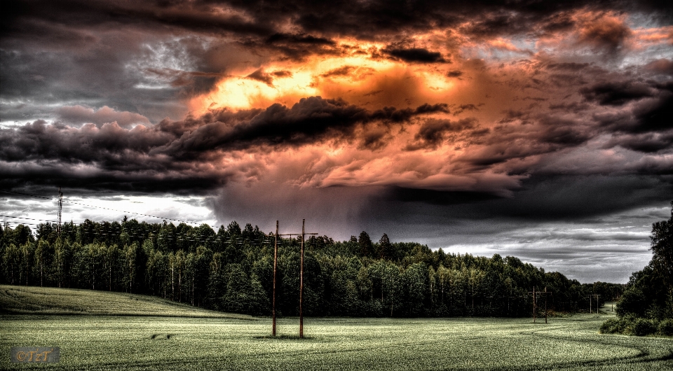 Paisaje árbol naturaleza horizonte