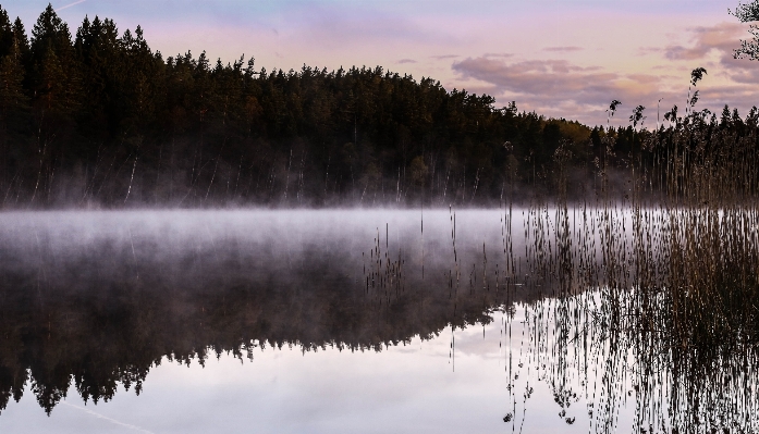 Landscape tree water nature Photo