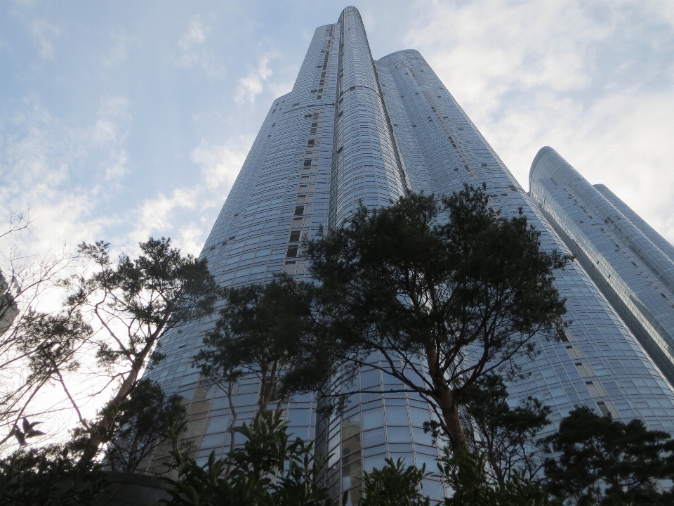 Mare albero architettura edificio