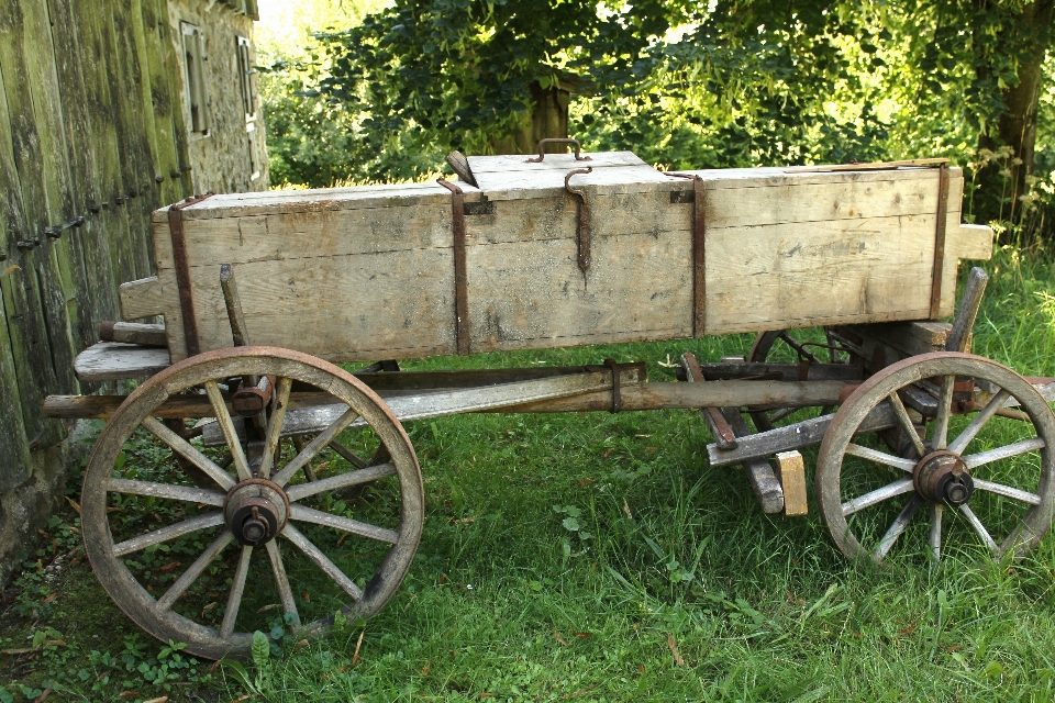 Ruota carrello veicolo agricoltura