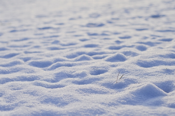 Sea sand snow cold Photo