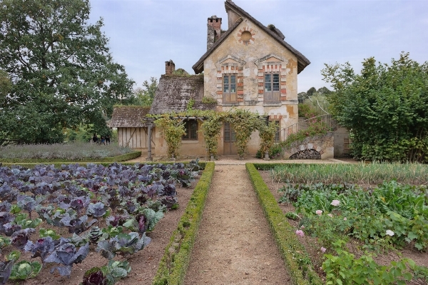 Architecture farm house flower Photo