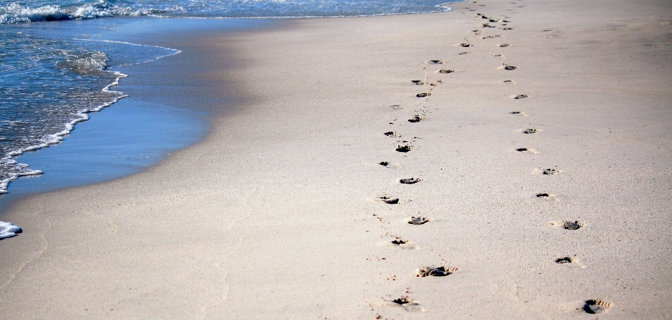 Plaża morze wybrzeże woda