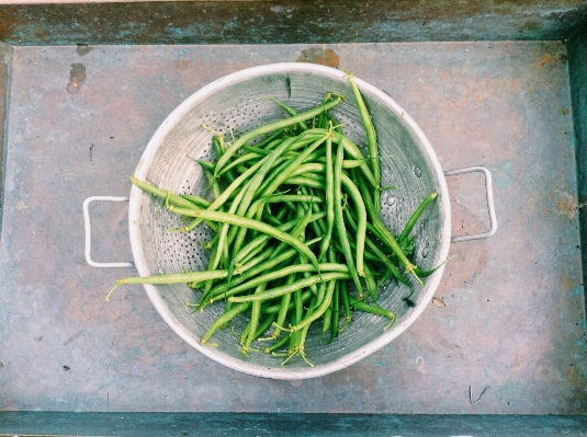 Anlage essen grün kraut Foto