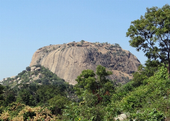 Landscape tree nature rock Photo