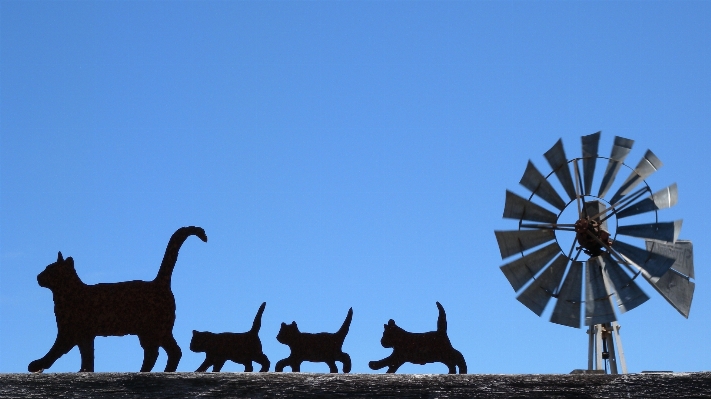 Silhouette windmühle schwarz familie Foto