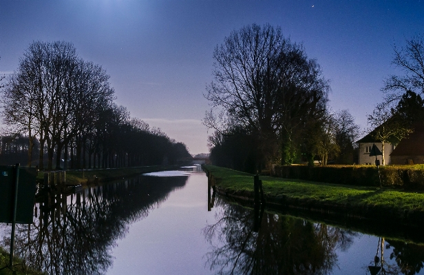 Landscape tree water nature Photo