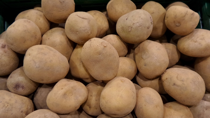 Foto Tanaman buah makanan menghasilkan