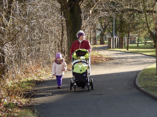 Tree bicycle walk spring Photo