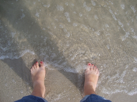 Beach sea water sand Photo