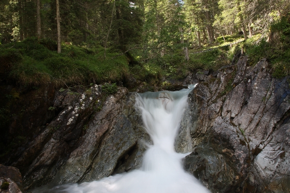 Water nature forest waterfall Photo