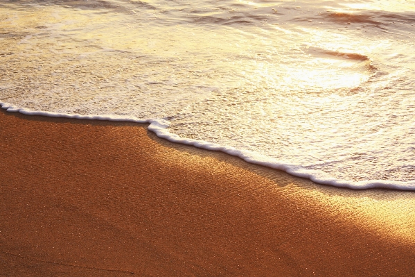 Foto Pantai laut pasir kayu