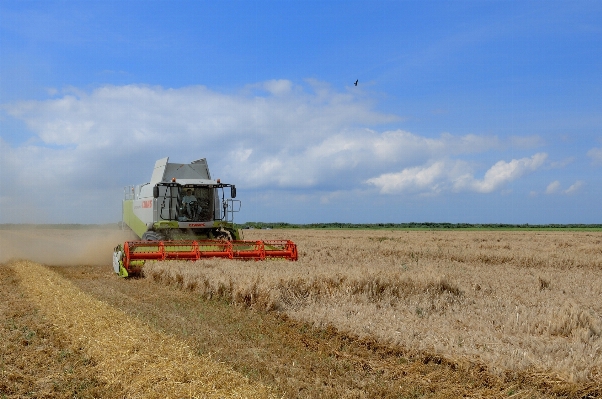 Landschaft gras himmel heu Foto