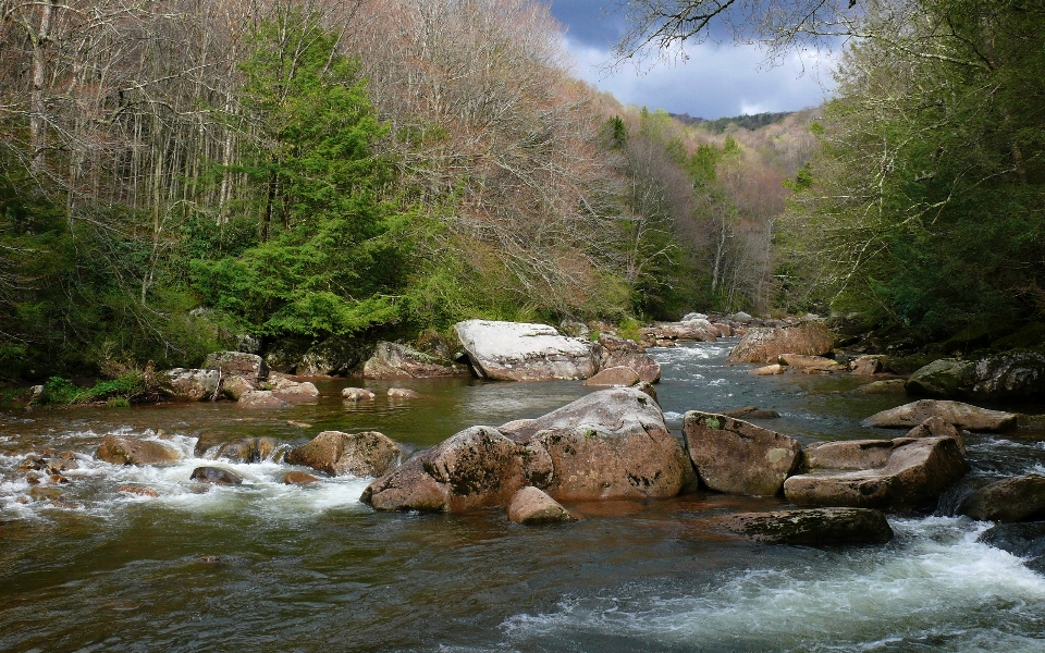 Landscape water nature forest