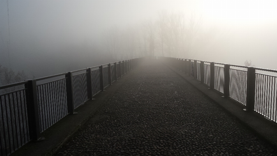 Landscape winter light fog