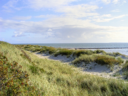 Beach landscape sea coast Photo