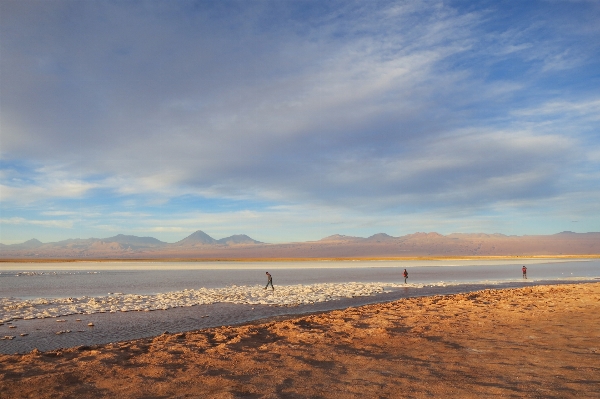 Beach landscape sea coast Photo