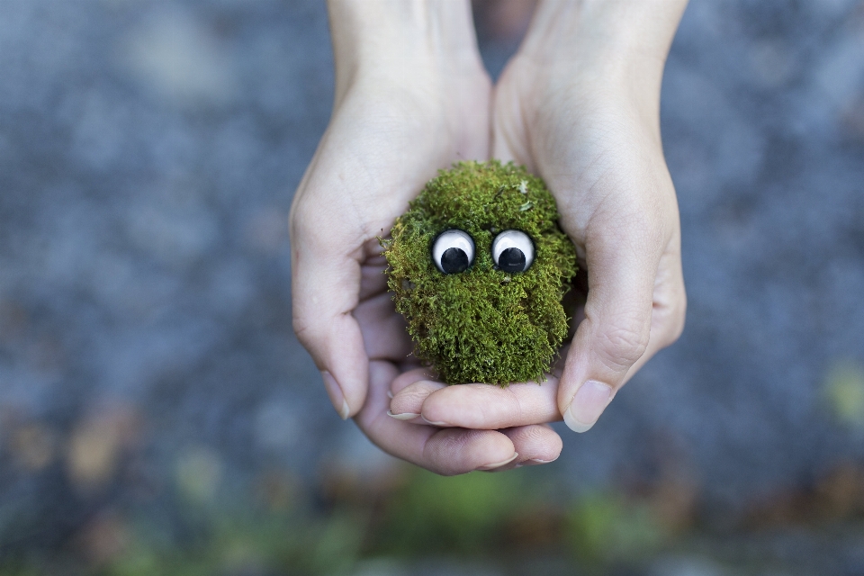 Hand nature grass plant