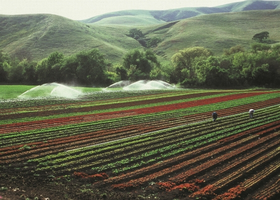 Landscape nature field farm Photo