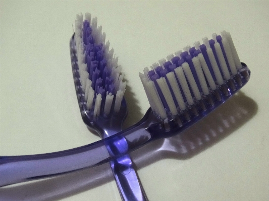 Photo Brosse produit poils
 soins dentaires
