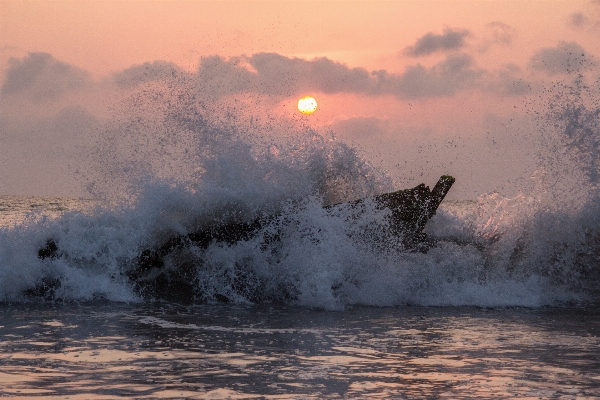 風景 海 海岸 水 写真