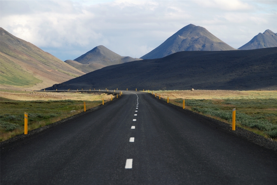 Paisaje césped horizonte montaña