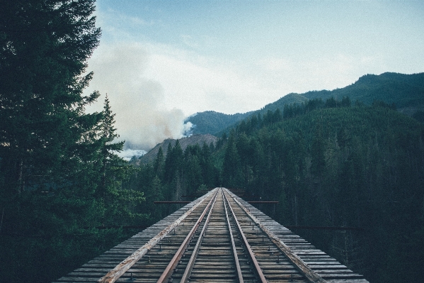 Nature forest mountain sky Photo