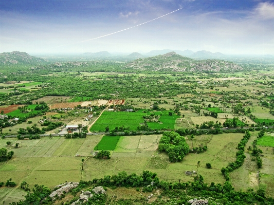 Foto Paisagem natureza floresta horizonte