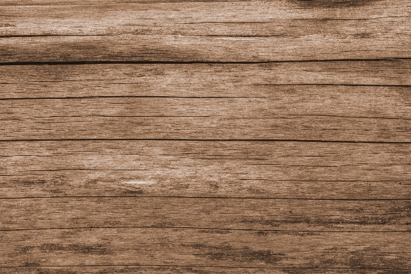 Structure board wood grain Photo