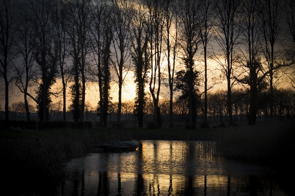 Landscape tree water nature Photo