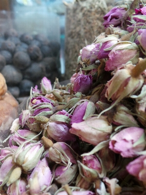 Plant flower petal food Photo