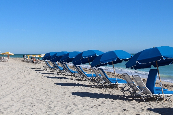 Beach sea coast sand Photo