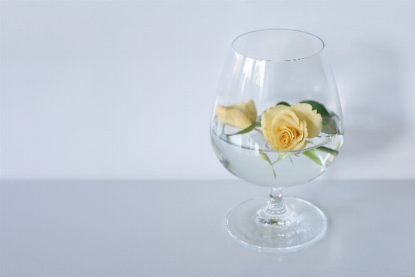 Flower glass rose drink Photo