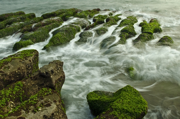 Foto Paesaggio mare costa acqua