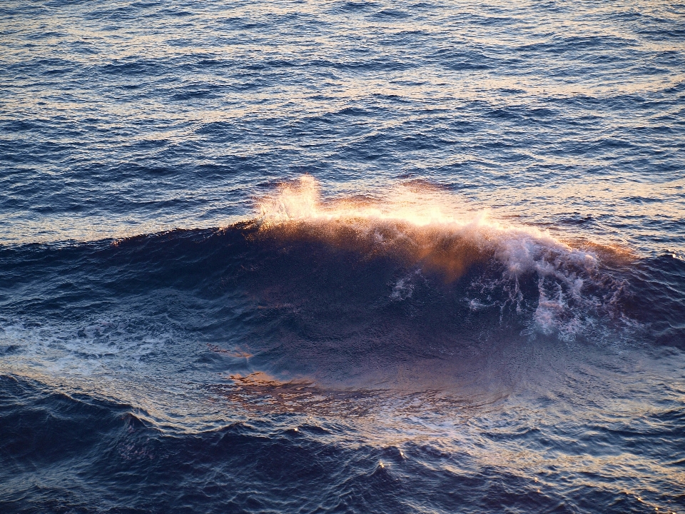 海 海岸 水 海洋