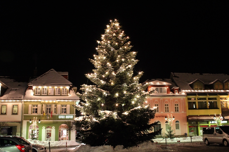 Baum schnee winter nacht