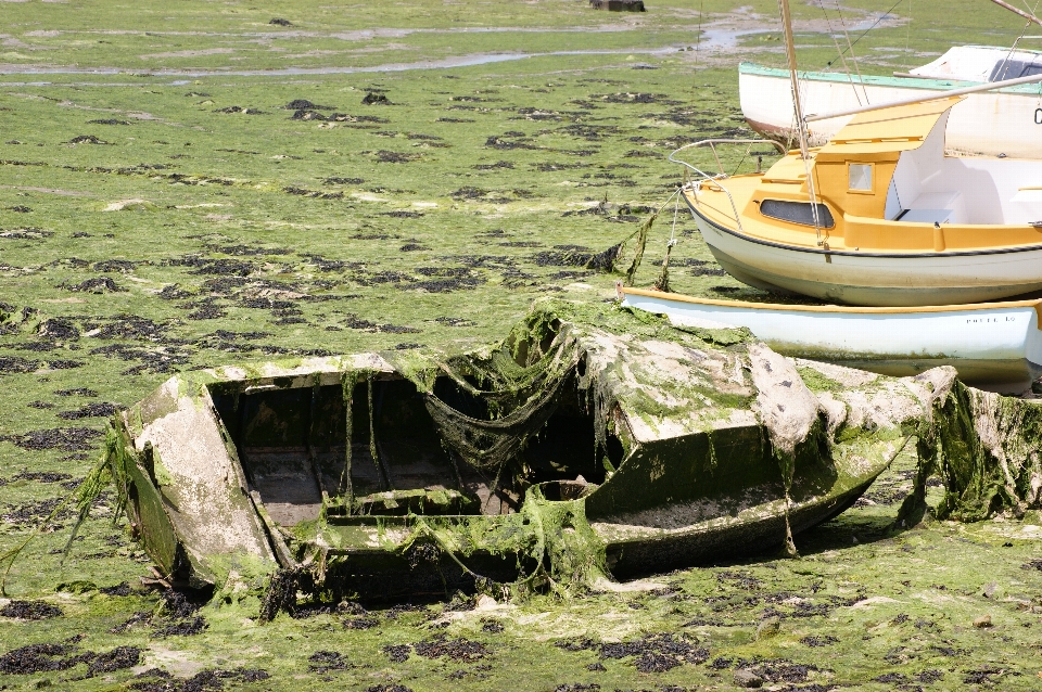 Sea coast boat river