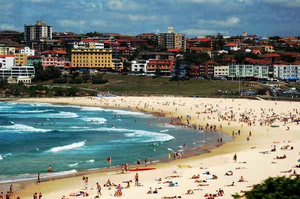 Beach sea coast shore Photo