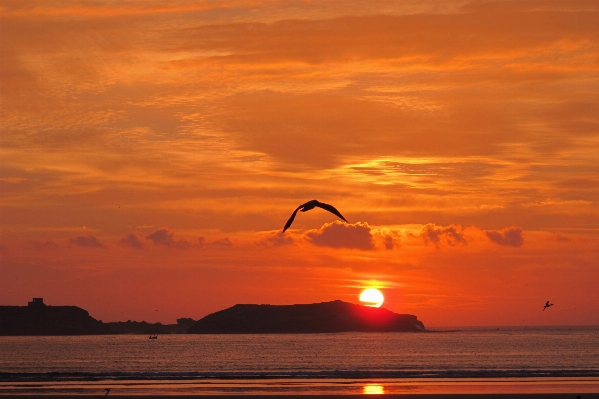 Beach sea coast ocean Photo