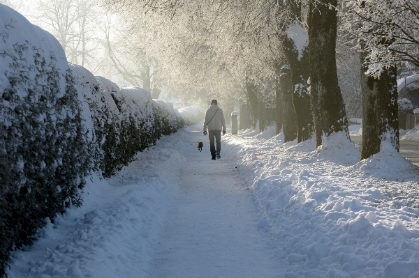 木 森 人 雪 写真