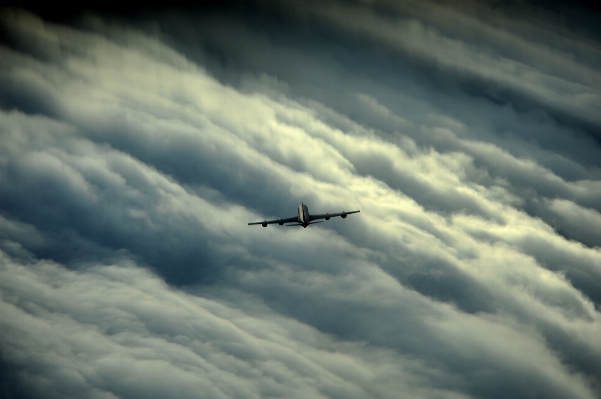 羽 クラウド 空 雰囲気 写真