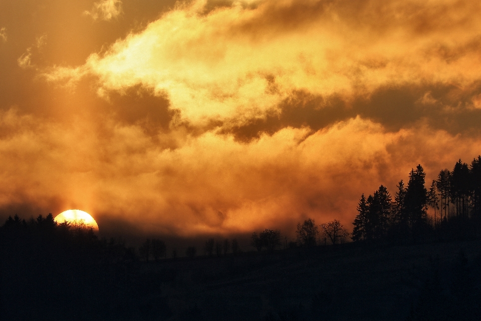 Paesaggio albero natura nube