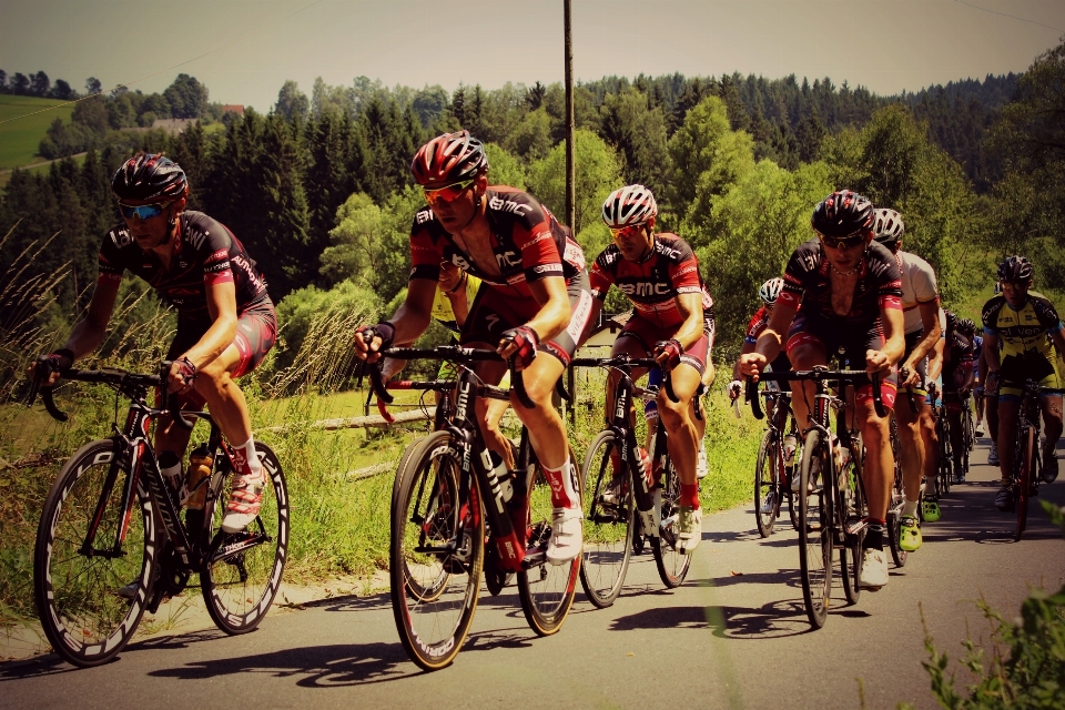 Runden fahrrad asphalt
 sommer