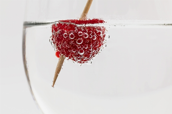 Cold raspberry berry flower Photo