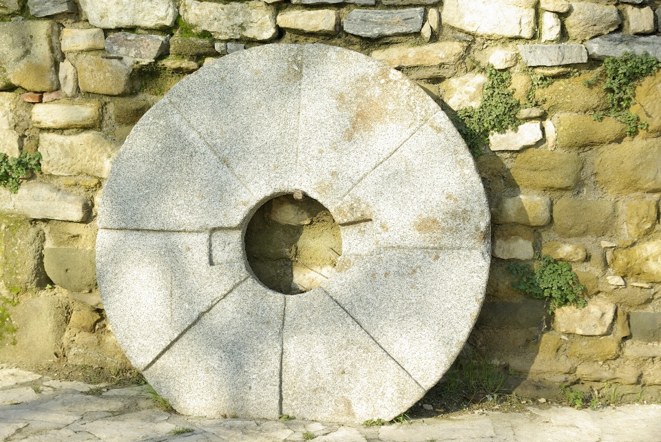 árbol rueda molino escultura