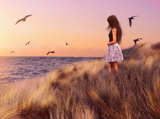 Beach sea coast grass Photo