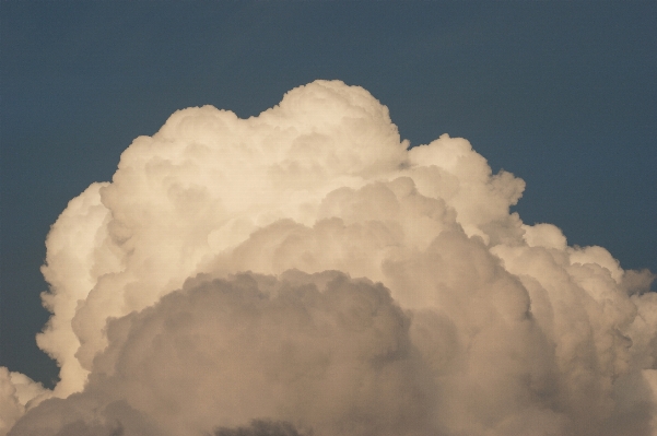 クラウド 空 白 日光 写真