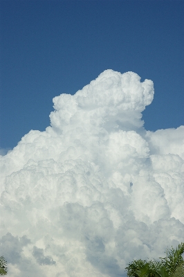 クラウド 空 白 雰囲気 写真